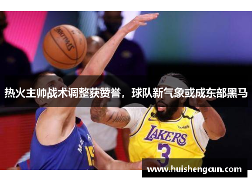 热火主帅战术调整获赞誉，球队新气象或成东部黑马