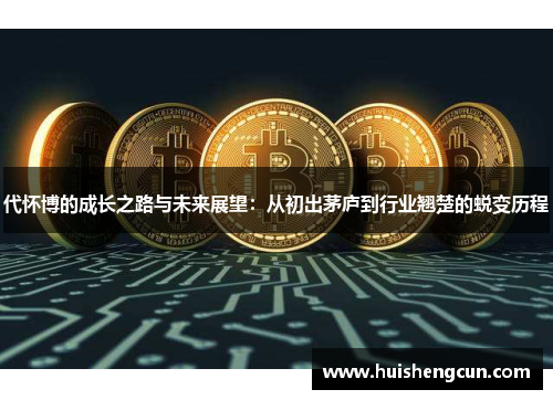 代怀博的成长之路与未来展望：从初出茅庐到行业翘楚的蜕变历程